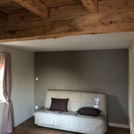 Apartmán Domaine Des Dutreve Saint-Etienne-des-Oullieres Exteriér fotografie