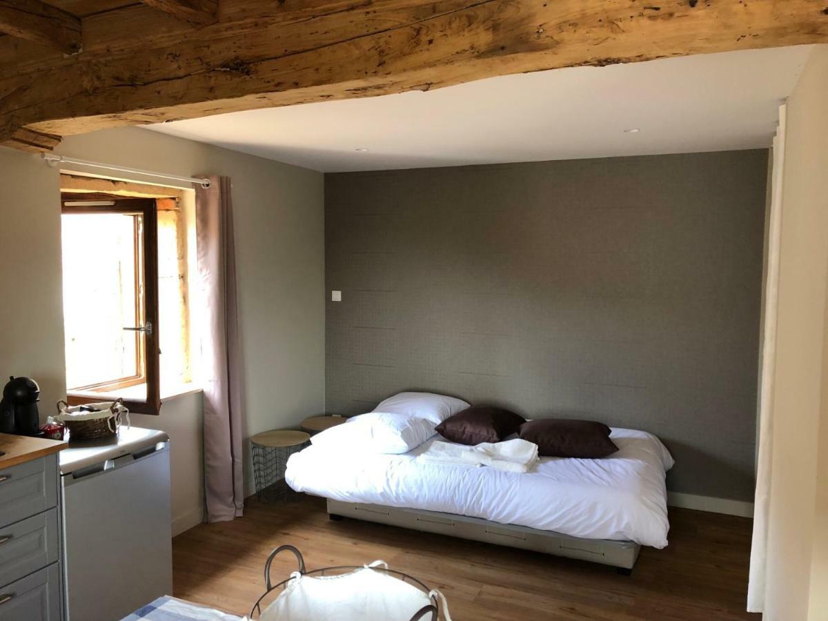 Apartmán Domaine Des Dutreve Saint-Etienne-des-Oullieres Exteriér fotografie